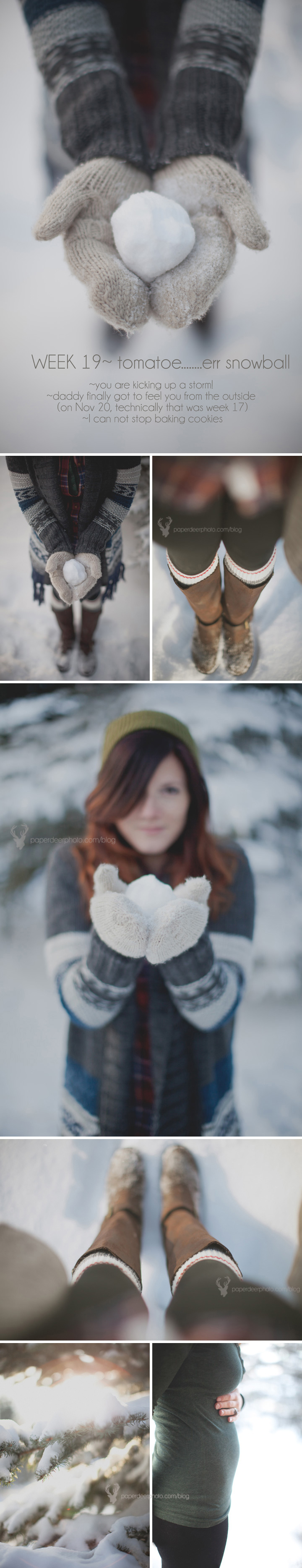 Weekly Pregnancy Photo Journal