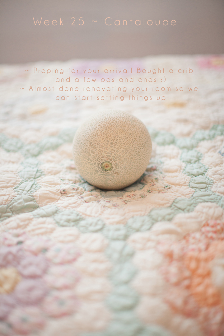 Weekly Pregnancy Photo Journal - Week 25