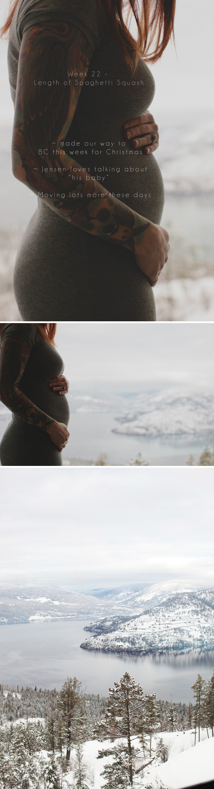 Weekly Pregnancy Photo Journal ©The Paper Deer Photography