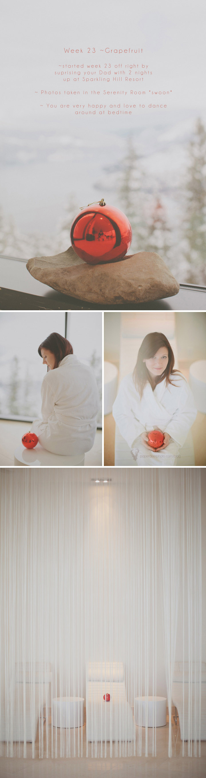 Weekly Pregnancy Photo Journal - ©The Paper Deer Photographer