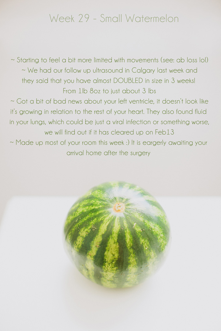 Weekly Pregnancy Photo Journal