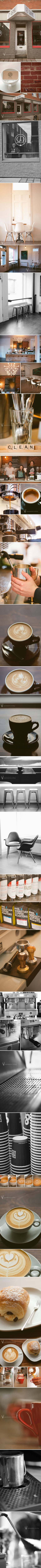 Dose Coffee Co. Photo Shoot