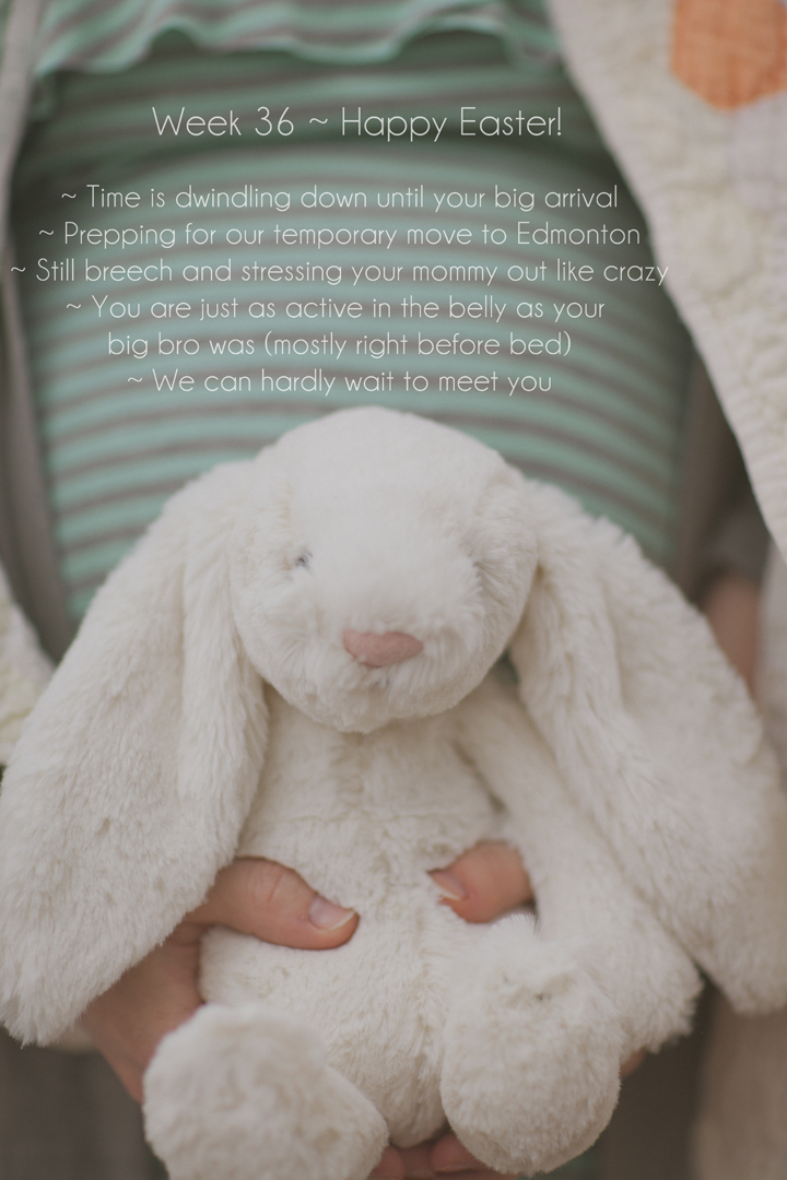 36 week pregnancy photo journal