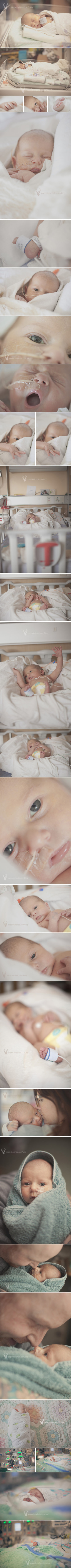 red-deer-newborn-photographer