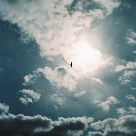 film photography | ©The Paper Deer Photography | paperdeerphoto.com