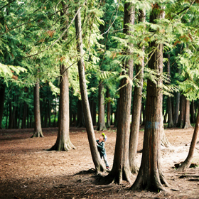 film photography | ©The Paper Deer Photography | paperdeerphoto.com