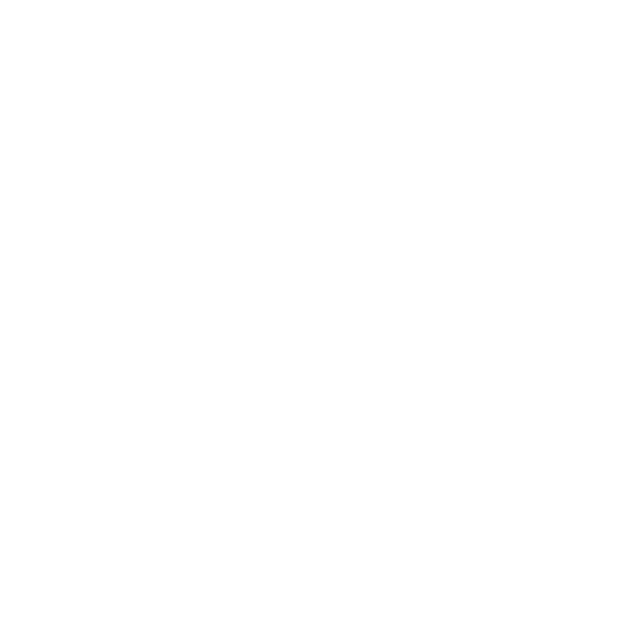 Jayme Ford